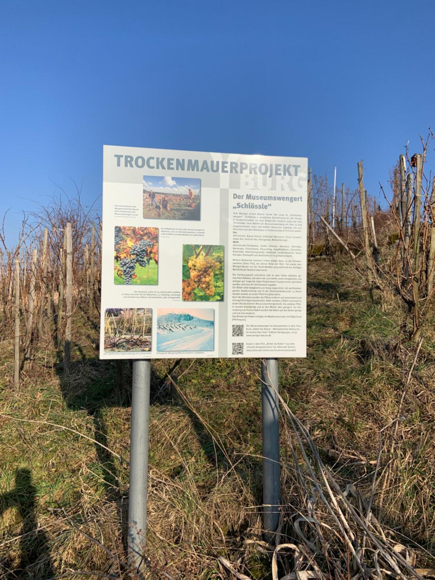 Unter Der Yburg Stetten Stetten  Exterior photo